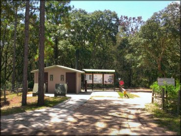 Wandering Wiregrass OHV Trail