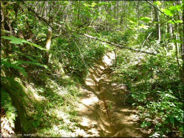 Example of terrain at Low Pass Trail