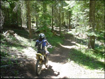 OHV at Low Pass Trail