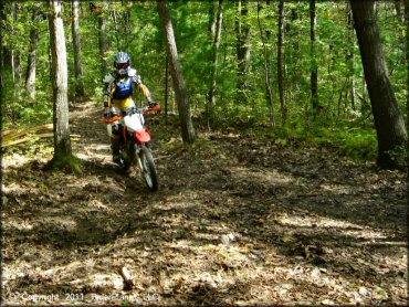 Honda CRF Motorcycle at Franklin Trails