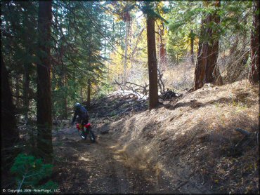 Honda CRF Off-Road Bike at Genoa Peak Trail