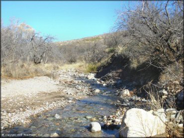 Scenery at Mt. Lemmon Control Road Trail