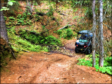 Twin Sisters and Mack King Trails