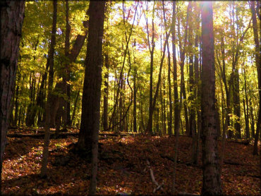 Hale Mountain OHV Park Trail