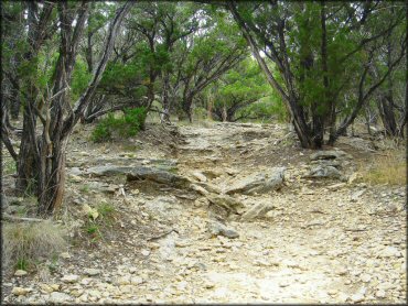 Example of terrain at Emma Long Metropolitan Park Trail