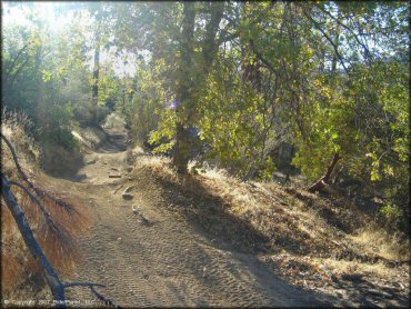 Example of terrain at Lake Arrowhead Trail