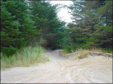 Terrain example at Oregon Dunes NRA - Florence Dune Area