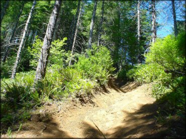 Example of terrain at Diamond Mill OHV Area Trail