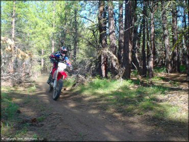 Honda CRF Motorcycle at Bull Ranch Creek Trail