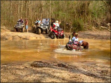 Burden's Creek ATV Park Trail