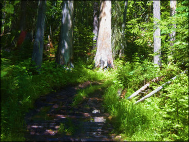 Owl Mountain Trail