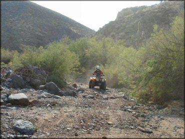 OHV at Log Corral Canyon Trail