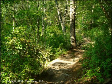 Freetown-Fall River State Forest Trail