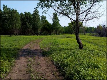 Otter Creek ATV Area Trail