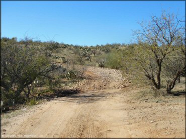 A trail at Charouleau Gap Trail