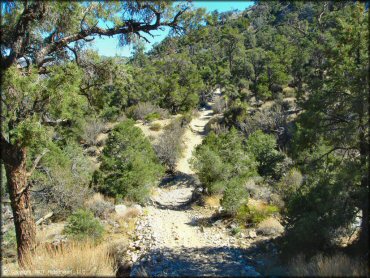 Terrain example at Big Bear Lake Trail