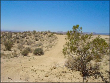 A trail at Dove Springs Trail