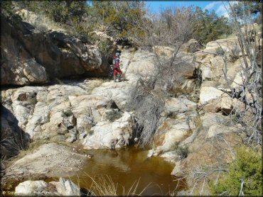 Scenic view of Redington Pass Trail