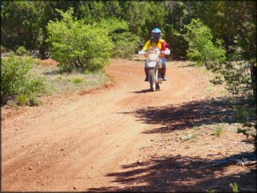 Motorcycle at Maverick Trail