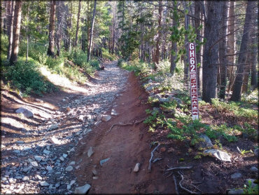 Golden Horseshoe Trail System