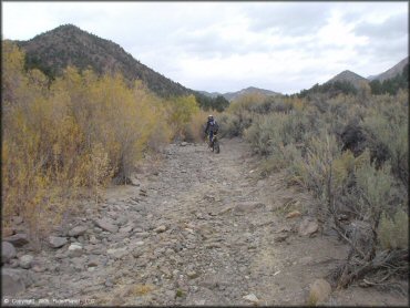 OHV at Peavine Canyon Trail