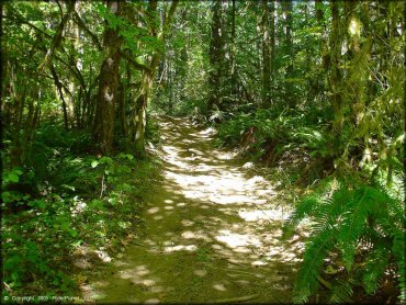 Some terrain at Low Pass Trail