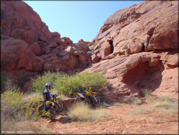 Suzuki RM 250 and RM 100 parked off side of trail.