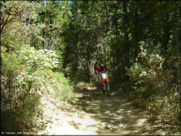 Honda CRF Dirtbike at Miami Creek OHV Area Trail