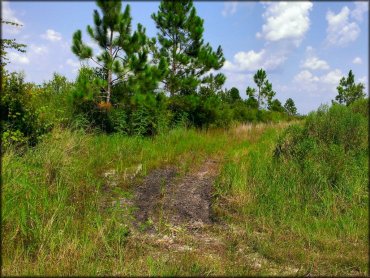 Mallory Swamp ATV Trail