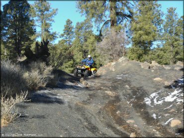Yellow Honda Recon 250 navigating through a narrow section of trail.