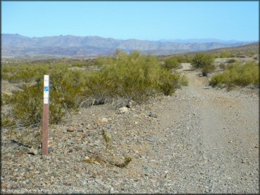 Example of terrain at Swansea Townsite Trail