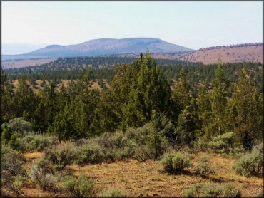 Henderson Flats OHV Trail System