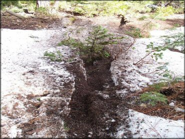 A trail at Crandall Peak And Deer Creek OHV Area Trail