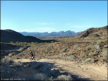 Honda CRF Dirt Bike at Shea Pit and Osborne Wash Area Trail