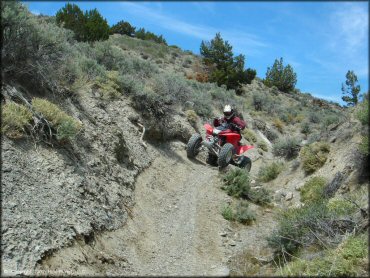 OHV at Blue Mountain Trail