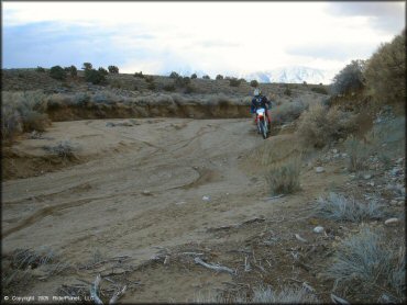 Honda CRF Motorbike at Old Sheep Ranch Trail