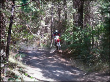 Honda CRF Motorbike catching some air at Miami Creek OHV Area Trail