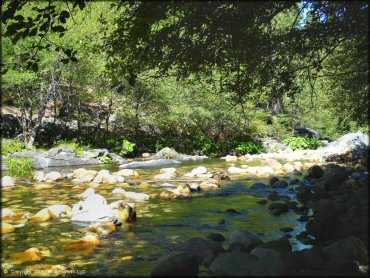 Scenic view at Gold Note Trails