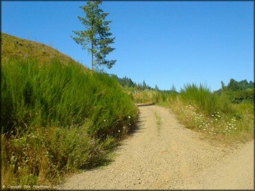 Example of terrain at Prairie Peak Trail