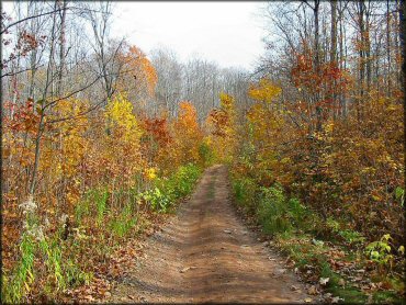 NC Outdoor Adventures OHV Area