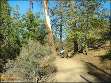Honda CRF Trail Bike at Lake Arrowhead Trail