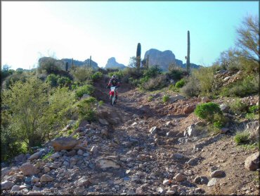 Honda CRF Off-Road Bike at Bulldog Canyon OHV Area Trail