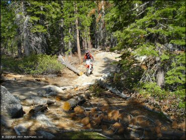 Honda CRF Dirt Bike at Corral OHV Trail