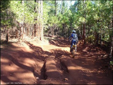 Woman on Suzuki RM100 avoiding deep ruts on the trail.