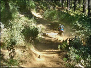 Honda CRF Dirt Bike at Miami Creek OHV Area Trail