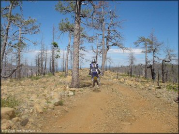 Rider wearing CamelBak on RM100 going through segment of 4x4 trail.