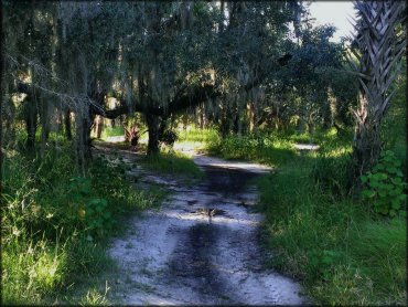 Peace River Campground Trail