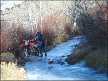 Honda CRF Motorcycle at Hunter Lake Trail