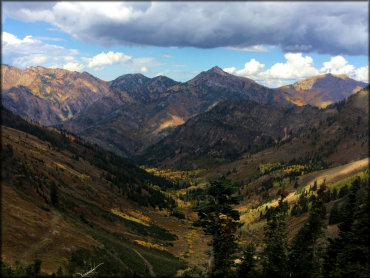 Mineral Fork Trail