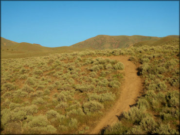 Shoshone OHV Trail System